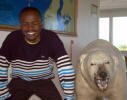 gm amon simutowe